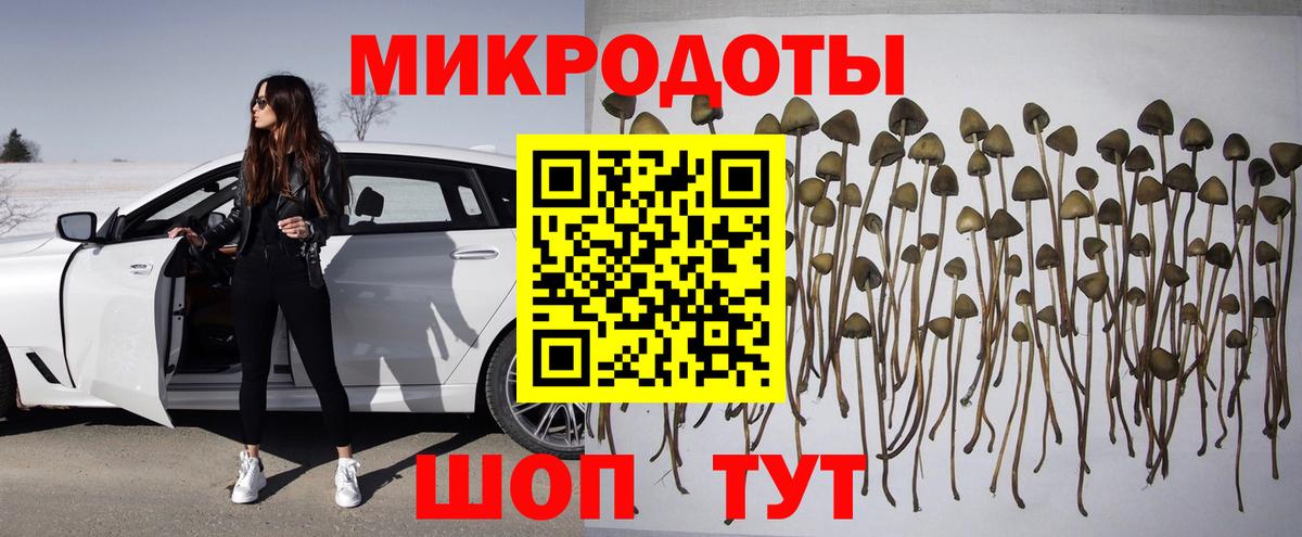 Галлюциногенные грибы Psilocybine cubensis  Галлюциногенные грибы мицелий  Каменск-Уральский  Вход с VPN 